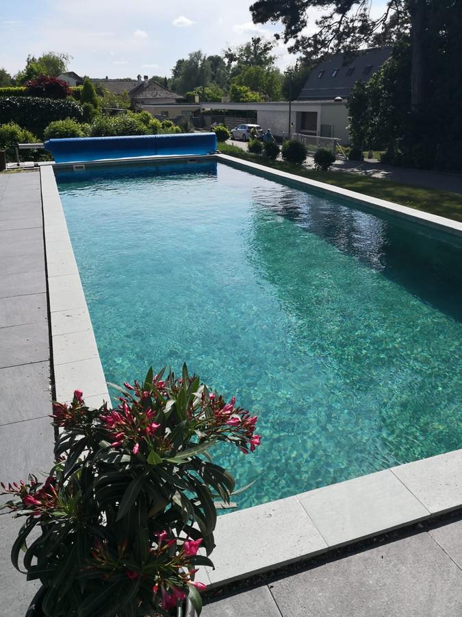 Morat Gaste Zimmer Exterior foto